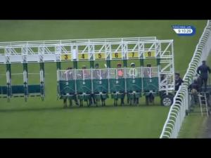 Video preview image for Hamilton Park 21:10 - Aspin Group McGrattan Piling Handicap