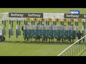 Video preview image for Newmarket 15:50 - Betway EBF Fillies' Novice Stakes (Plus 10)