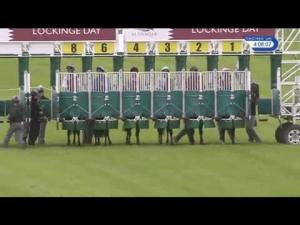 Video preview image for Newbury 16:05 - Olympic Glory Conditions Stakes (Plus 10)