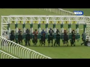 Video preview image for Thirsk 16:30 - Wharton Construction Maiden Stakes (Div 1)