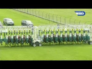 Video preview image for Redcar 14:10 - racinguk.com Novice Auction Stakes