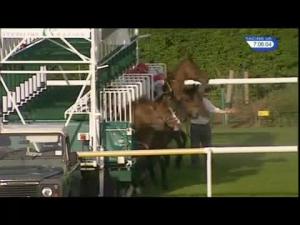 Video preview image for Leicester 19:05 - Henry Alken Handicap