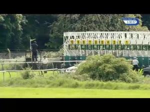 Video preview image for Nottingham 15:30 - bettinggods.com Sports Guru British EBF Fillies' Handicap