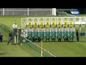 Video preview image for Nottingham 17:00 - bettinggods.com Free Betting Tips Handicap