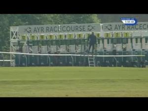 Video preview image for Ayr 17:55 - Franklin & Sons Premium Tonic Apprentice Handicap