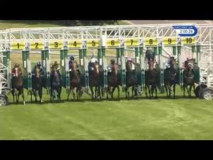 Video preview image for Goodwood 14:00 - Matchbook Betting Exchange EBF Novice Stakes (Plus 10)