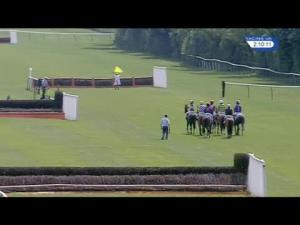 Video preview image for Warwick 14:10 - William Eborall Novices' Hurdle