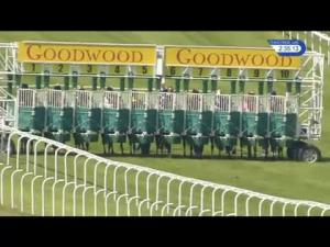 Video preview image for Goodwood 14:35 - Molecomb Blue Handicap