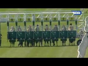 Video preview image for Catterick Bridge 15:30 - Rda Richmond and Catterick Group Handicap