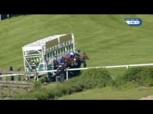 Video preview image for Goodwood 15:45 - Cigalus Gerard Bertrand Wines Handicap