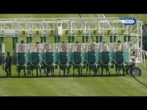 Video preview image for Catterick Bridge 16:05 - Leslie Petch Handicap