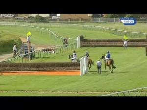 Video preview image for Warwick 17:05 - Close Brothers Business Finance Chandler Handicap Chase