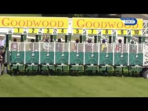 Video preview image for Goodwood 17:25 - Wright Joinery Apprentice Handicap