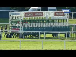 Video preview image for Sandown Park 18:00 - Matchbook Betting Exchange Handicap