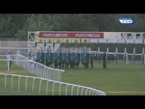 Video preview image for Sandown Park 20:10 - Matchbook Traders Conference Heron Stakes (Listed)