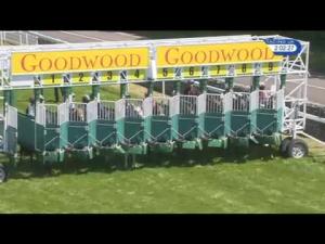 Video preview image for Goodwood 14:00 - Matchbook Betting Exchange Novice Auction Stakes