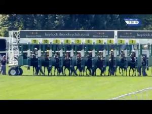 Video preview image for Haydock Park 14:20 - racinguk.com Handicap