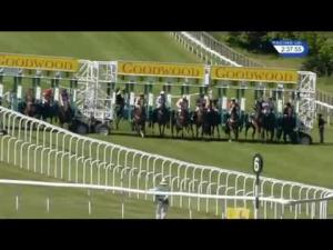 Video preview image for Goodwood 14:35 - Cala Homes Handicap