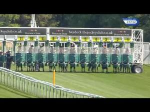 Video preview image for Haydock Park 14:55 - British Stallion Studs EBF Novice Stakes (Plus 10)