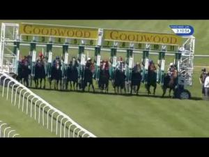 Video preview image for Goodwood 15:10 - Brenda Hamilton Fillies' Handicap