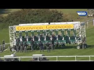 Video preview image for Goodwood 16:20 - EBF Breeders' Series Fillies' Handicap