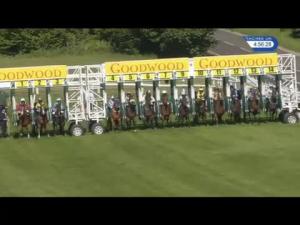 Video preview image for Goodwood 16:55 - Southern Cranes Handicap