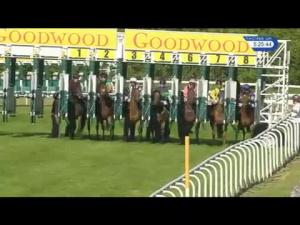 Video preview image for Goodwood 17:25 - Veolia Handicap