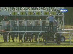 Video preview image for Musselburgh 19:40 - Shawbrook Bank Handicap