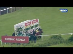Video preview image for Goodwood 14:00 - Matchbook Betting Exchange Festival Stakes (Listed)