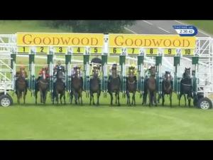 Video preview image for Goodwood 14:35 - Basketmakers Company Celebration EBF Fillies' Novice Stakes (Plus 10)