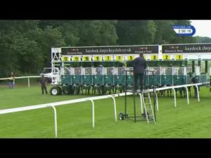 Video preview image for Haydock Park 14:55 - Amix Silver Bowl Handicap