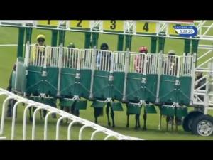 Video preview image for Goodwood 17:25 - Matchbook Betting Podcast EBF Maiden Fillies' Stakes (Plus 10)