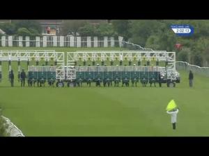 Video preview image for Redcar 14:00 - Longines Irish Champion Weekend EBF Fillies' Novice Median Auction Stakes (Plus 10)