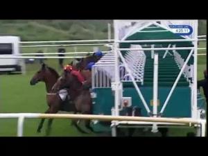 Video preview image for Leicester 16:20 - British Stallion Studs EBF Novice Stakes (Plus 10)