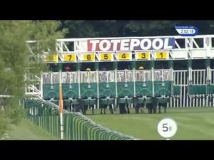 Video preview image for Nottingham 14:50 - totepoolliveinfo.com Visit For Racing Results Fillies' Handicap