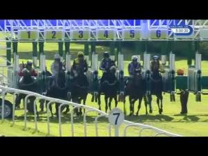 Video preview image for Beverley 17:00 - Skidby Maiden Stakes