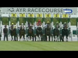 Video preview image for Ayr 19:10 - Conferences At Ayr Racecourse Handicap
