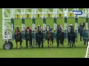 Video preview image for Hamilton Park 14:00 - Bb Foodservice Novice Auction Stakes (Plus 10)