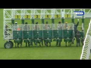 Video preview image for Hamilton Park 14:30 - Dick Birkett Memorial Handicap