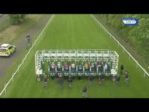 Video preview image for Hamilton Park 15:00 - Dm Hall Handicap