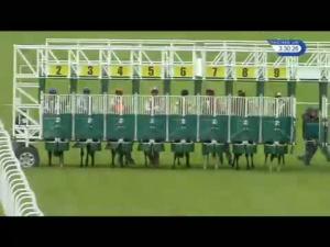 Video preview image for Hamilton Park 15:30 - Lockton Companies Cadzow Castle Handicap