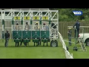 Video preview image for Catterick Bridge 14:25 - catterickbridge.co.uk Selling Stakes