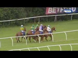 Video preview image for Market Rasen 14:50 - C&L Fairburn Property Developments Ltd Handicap Chase