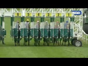 Video preview image for Catterick Bridge 15:35 - Macmillan Cancer Support Maiden Stakes