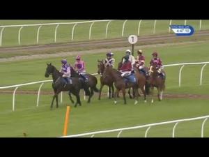 Video preview image for Market Rasen 16:45 - J&C Developments Ltd Novices' Hurdle