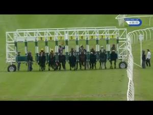 Video preview image for Catterick Bridge 16:55 - racinguk.com Handicap