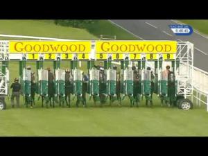 Video preview image for Goodwood 18:40 - Glorious EBF Novice Stakes