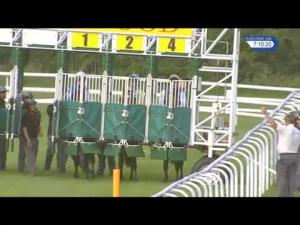 Video preview image for Goodwood 19:10 - Coates & Seely Fillies' Novice Stakes (Plus 10)
