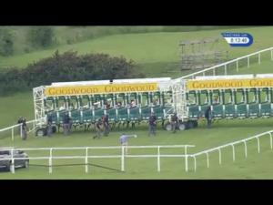 Video preview image for Goodwood 20:10 - Capital Fm Handicap