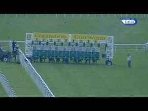 Video preview image for Goodwood 20:40 - Tinie & Charlesy Dj Set Maiden Fillies' Stakes